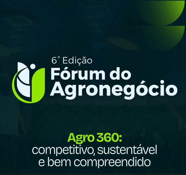 Leia mais sobre o artigo Meu primeiro e-book